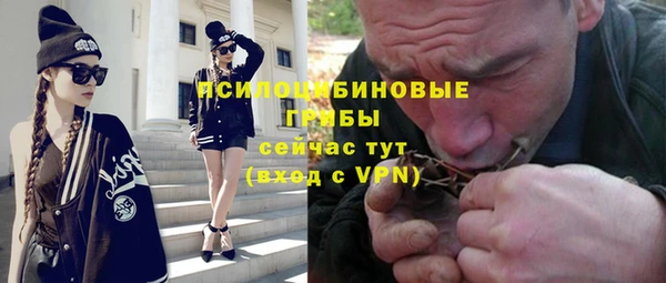 шишки Вязники
