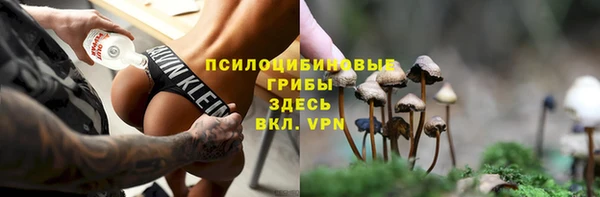 шишки Вязники