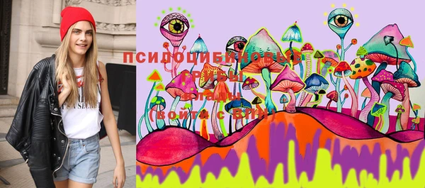 шишки Нязепетровск
