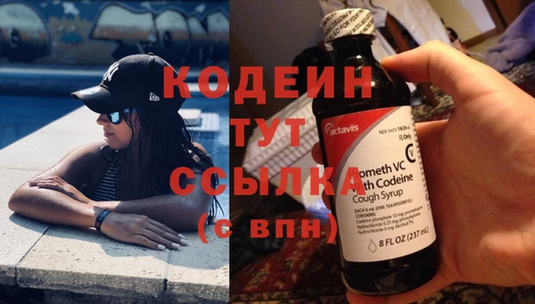 шишки Вязники