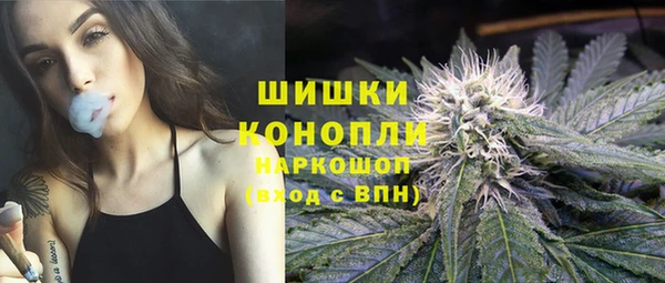 гидропоника Вязьма