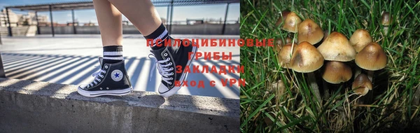гидропоника Вязьма