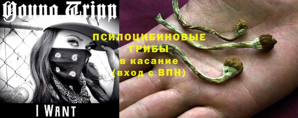 ПСИЛОЦИБИНОВЫЕ ГРИБЫ Горняк