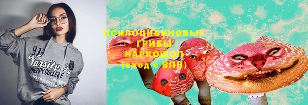 гидропоника Вязьма