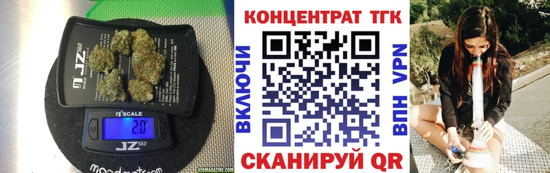 Купить закладки  Кашин  ТГК концентрат 