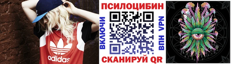 Псилоцибиновые грибы Magic Shrooms  Купить закладки  Кашин 