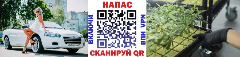 Купить закладки  Кашин  МАРИХУАНА марихуана 